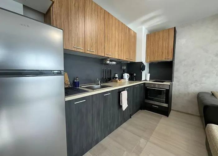 Panoramic View Near Airport アパート ソフィア