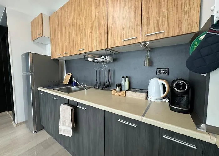 Panoramic View Near Airport * ソフィア